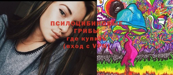 МДПВ Михайловка