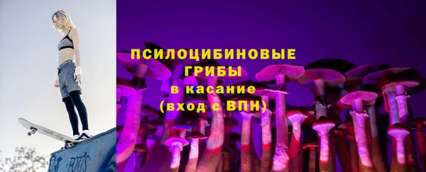 ПСИЛОЦИБИНОВЫЕ ГРИБЫ Верхний Тагил