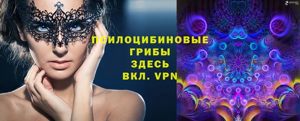 МДПВ Мегион