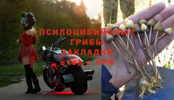 гидропоника Медногорск