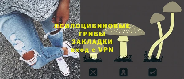 спайс Михайлов