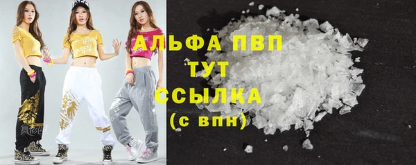 спайс Михайлов