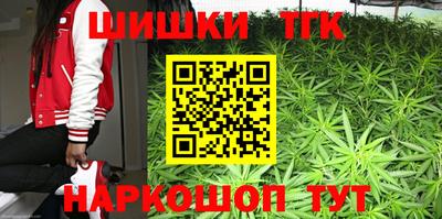 МДПВ Гатчина