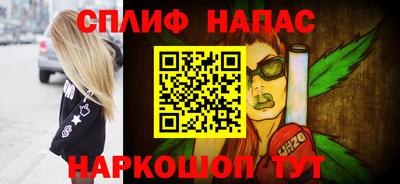 МДПВ Гатчина