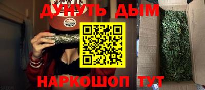 МДПВ Гатчина