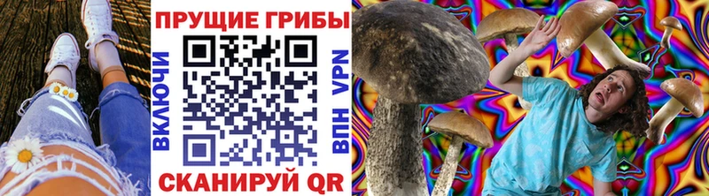 Галлюциногенные грибы GOLDEN TEACHER  Томск 