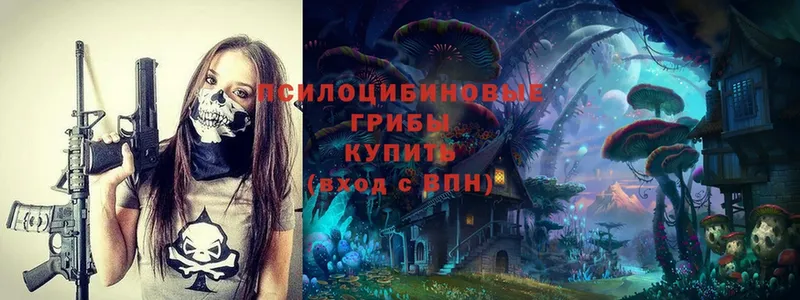 Псилоцибиновые грибы Magic Shrooms  где купить   Томск 